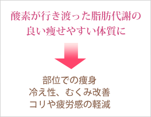 酸素が行き渡った脂肪代謝の良い痩せやすい体質に