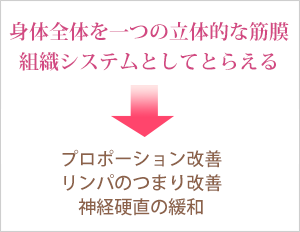 身体全体を一つの立体的な筋膜組織システムとしてとらえる