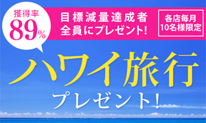 ドリームダイエッター